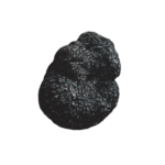 Tartufo nero invernale