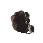 Tartufo uncinato