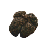 Tartufo moscato