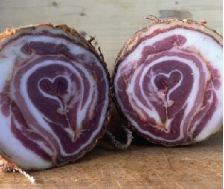 Risorsa 35 MASSERIA MAIO - Pancetta stagionata arrotolata - immagine 1